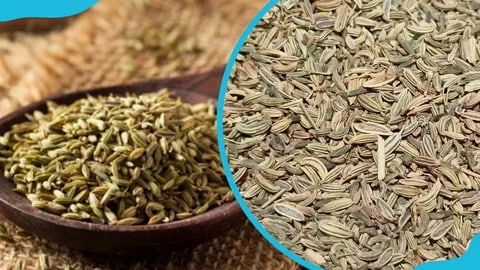 تصویر 4 از زیره اصل بسته بندی با طعمی خالص و عطر مطبوع